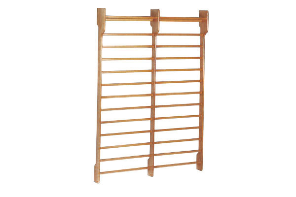 Spalliera Svedese 2 Campate Toorx + CODICE SCONTO main product photo