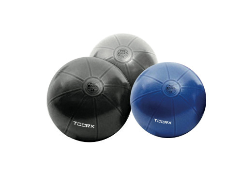 Palla da Ginnastica PRO Toorx 75 cm Gym Ball main product photo