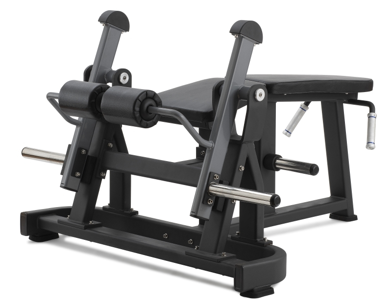 Leg Curl Professionale Diamond main product photo