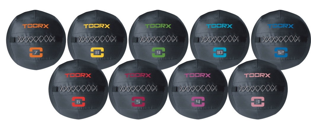Wall Ball Toorx Absolute Line main product photo