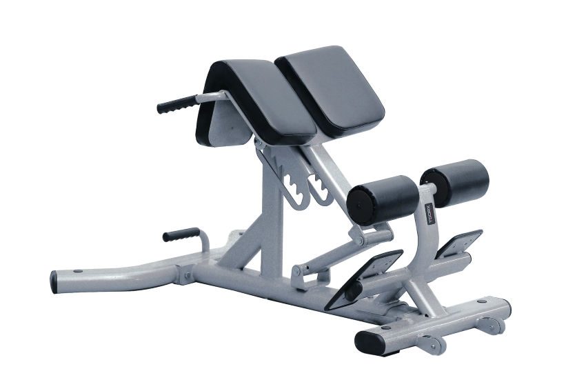 Panca Lombare Professionale Toorx WBX 2600 Silver + CODICE SCONTO main product photo