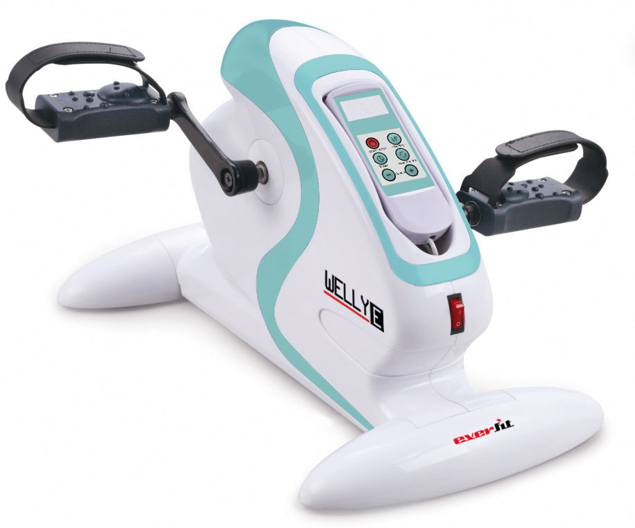 Minibike elettrica Everfit Welly E main product photo